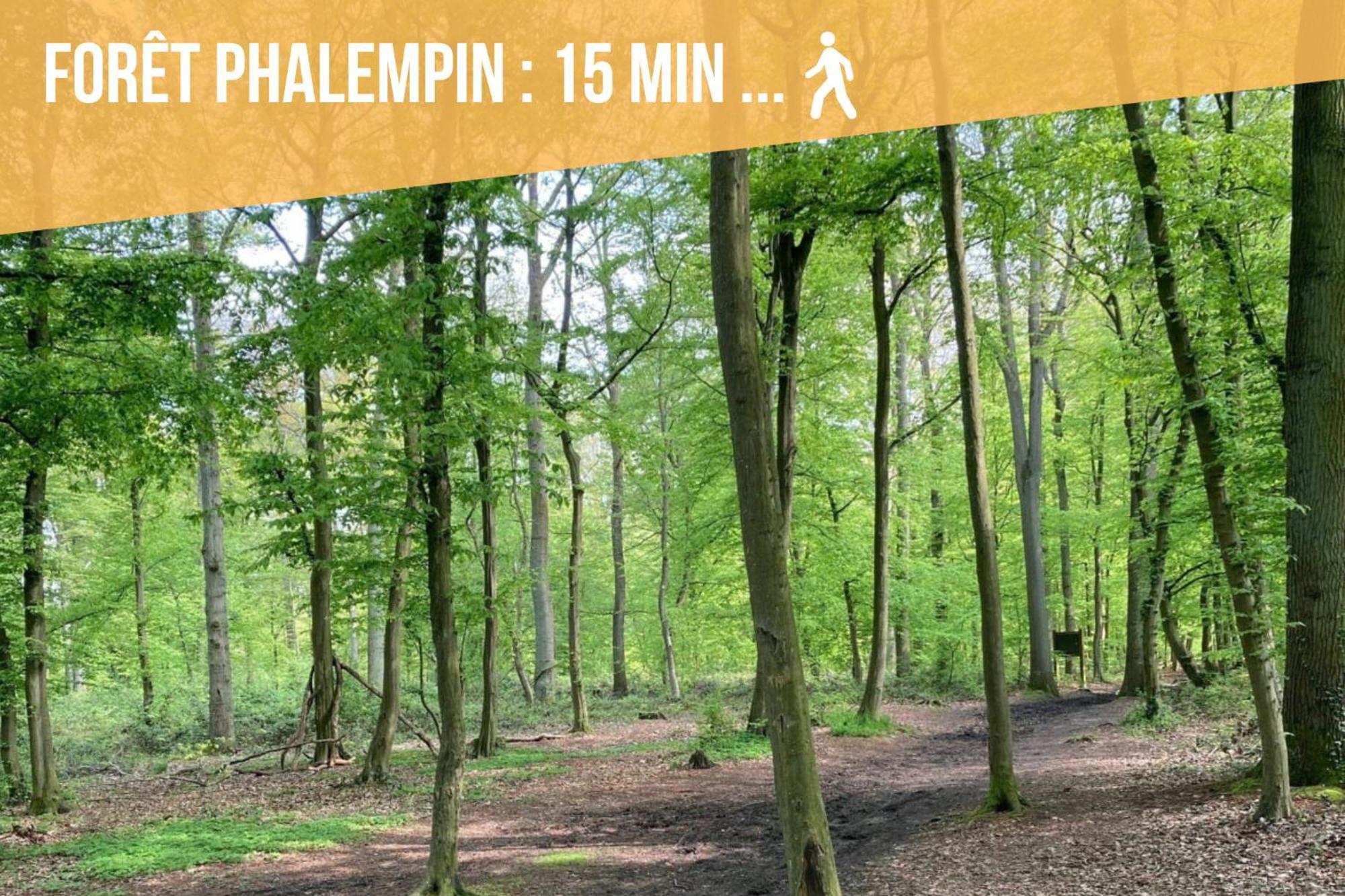 Gite Le Duplex - 5Min De La Gare Vers Lille-Lens-Arras Phalempin Exteriör bild